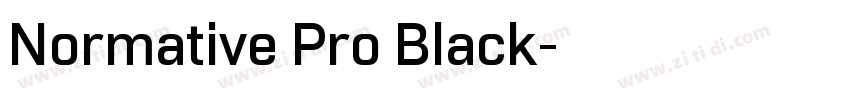 Normative Pro Black字体转换